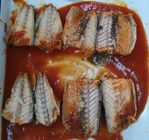 Peixes enlatados da marca própria cavala atlântica no molho de tomate sem pimenta de pimentão