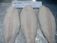 Volume delicioso Pangasius congelado peixes congelado enfaixa/peixes de Basa de Vietname