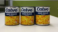 O tipo de Calvo enlatou o peso líquido doce 241g de Maiz Dulze do milho para América Central