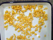 O cultivo 425g de FDA GMO enlatou núcleos de milho doce