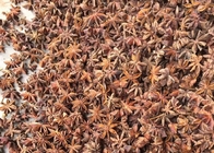 Colheita nova Autumn Star Anise Seeds Natural