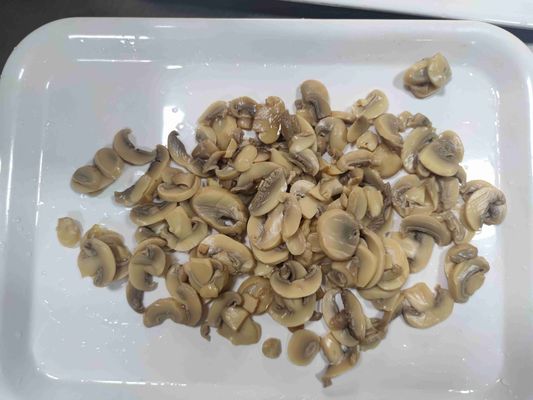 Produto de cogumelos enlatados de sabor natural puro com pouco sabor salgado perfeito para restaurantes e fabricantes de alimentos