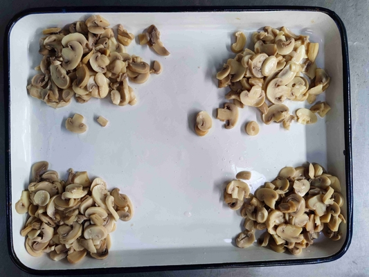 24 meses Prazo de validade Água Produto de Champignon enlatado