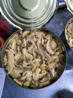 PH 4.5-6.5 do armazenamento fresco &amp; seco sabor original do cogumelo enlatado do cogumelo