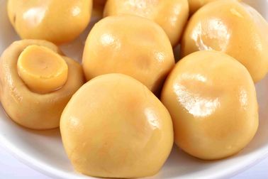 cogumelo enlatado nível superior do cogumelo 425g/200g na salmoura