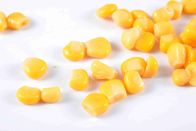 Amarelo dourado núcleo de milho doce enlatado com a tampa aberta fácil HACCP aprovada