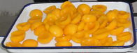Estação nova segura os meios pêssegos enlatados no xarope pesado provam suculentos e doces