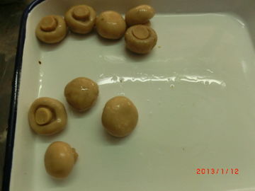 Forma inteira cogumelo enlatado do cogumelo com prazo de execução curto da nutrição rica