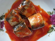 A cavala pura enlatou peixes no gosto fino excelente do molho de tomate/salmoura/óleo