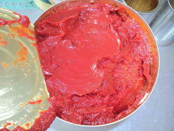 Tomate fresco cozido ao vapor, sem BPA, em lata, sem aditivos nem alérgenos