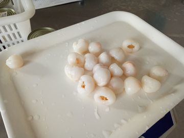 Fruto enlatado do lichi kosher do certificado no xarope pesado 17,0 - 20,0% Brix
