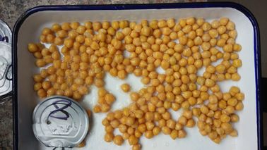 Grãos-de-bico enlatados deliciosos na salmoura 3 anos de lata aberta fácil 425g da vida útil, 567g, 800g