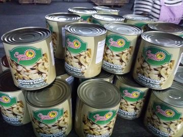 Cogumelo inteiro enlatado nas latas 24*425ml/nanowatt. 425g DW. 200g 180g ou tamanho grande