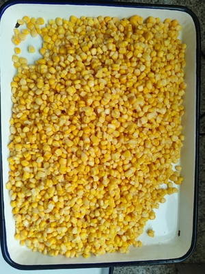 Prático milho doce em lata com tampa 1800g