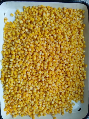 Milho doce amarelo enlatado para cozinhar