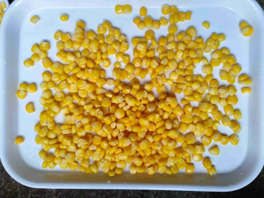 Adicione uma explosão de sabor e nutrição com milho doce enlatado perfeito para tacos e caçarolas