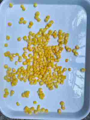 Syrup 7.5 9.0 Canned Sweet Corn Primary Packaging Metel Tin Part Whole Kernel