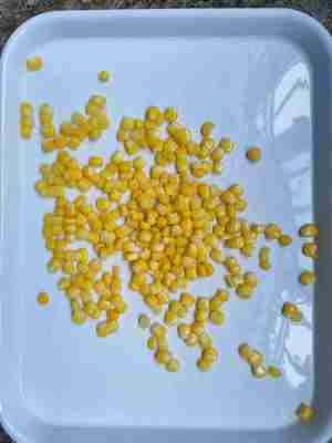 Receitas de Milho Doce Enlatado Saudáveis e Deliciosas para Fabricação e Comércio