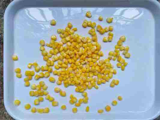 milho doce enlatado fresco do núcleo inteiro doce de China do milho do núcleo 340g