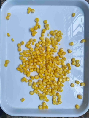 Milho Doce Enlatado Fácil de Armazenar Marca Própria Aceitável Com Estilo Enlatado