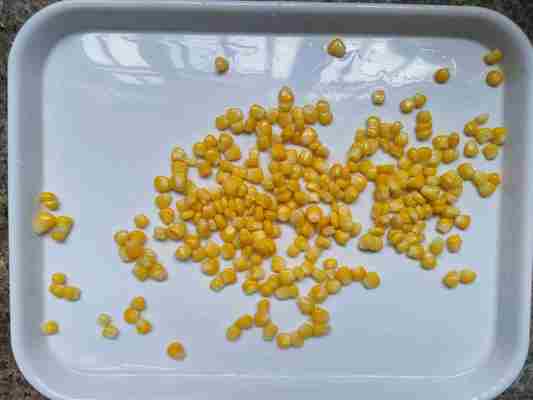 Whip Up Mouthwatering Dishes with Canned Sweet Corn Recipe and Whole Kernel Corn