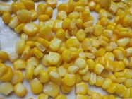 A fábrica enlatada não GMO do milho enlatou o milho doce enlatado milho na lata A10