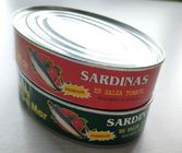 As latas da cavala e os peixes das sardinhas enlataram nas latas 425g ovais de China