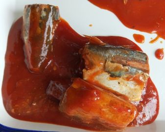 Cavala pacífica enlatada no molho de tomate