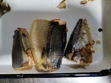 Macarrão peixe enlatado Instruções de armazenamento Armazenar em um estilo frio enlatado
