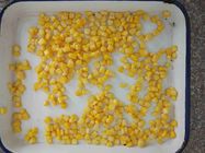 425g não - os núcleos de milho enlatados GMO classificam A, milho doce podem dentro
