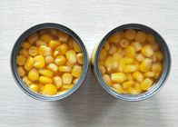 Não GMO enlatou o milho doce sem a adição