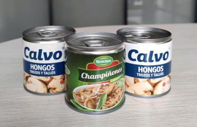 Cogumelo enlatado salgado do cogumelo da preservação da salmoura