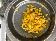 Milho doce enlatado amarelo macio para a transformação de produtos alimentares