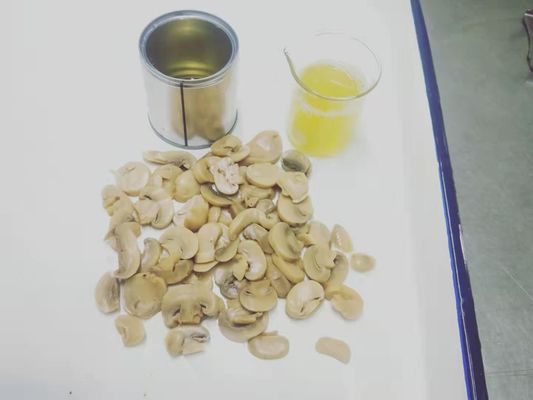 O cogumelo das conservas alimentares cresce rapidamente fresco & delicioso prontos para comer