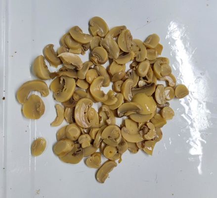 O cogumelo das conservas alimentares cresce rapidamente fresco & delicioso prontos para comer