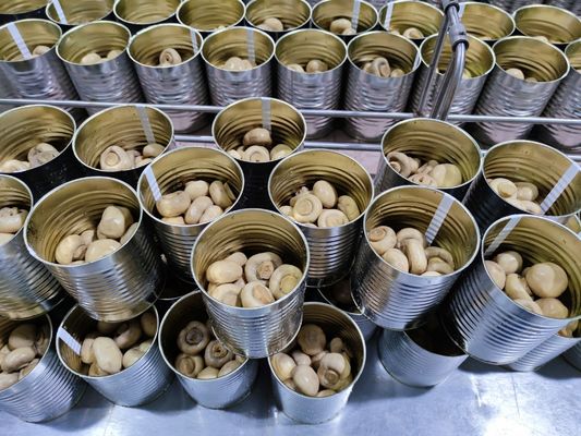 400g / 425g enlatou cogumelo inteiro cogumelos chineses enlatados