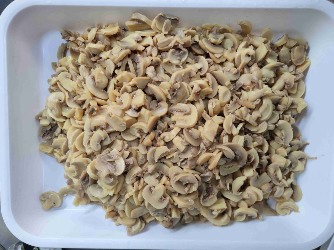 Fungos de conservas médias Legumes enlatados Embalagens a granel Adequadas para serviços de restauração alimentar e profissionais da culinária