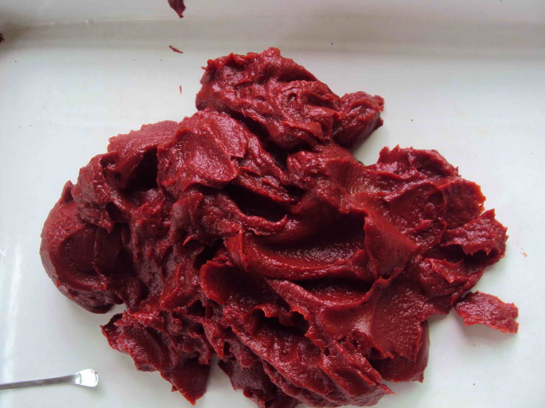 2 anos de vida útil Molho de tomate em lata Sugestões de servir misturar com água para criar um molho de tomate Vida útil de 2 anos