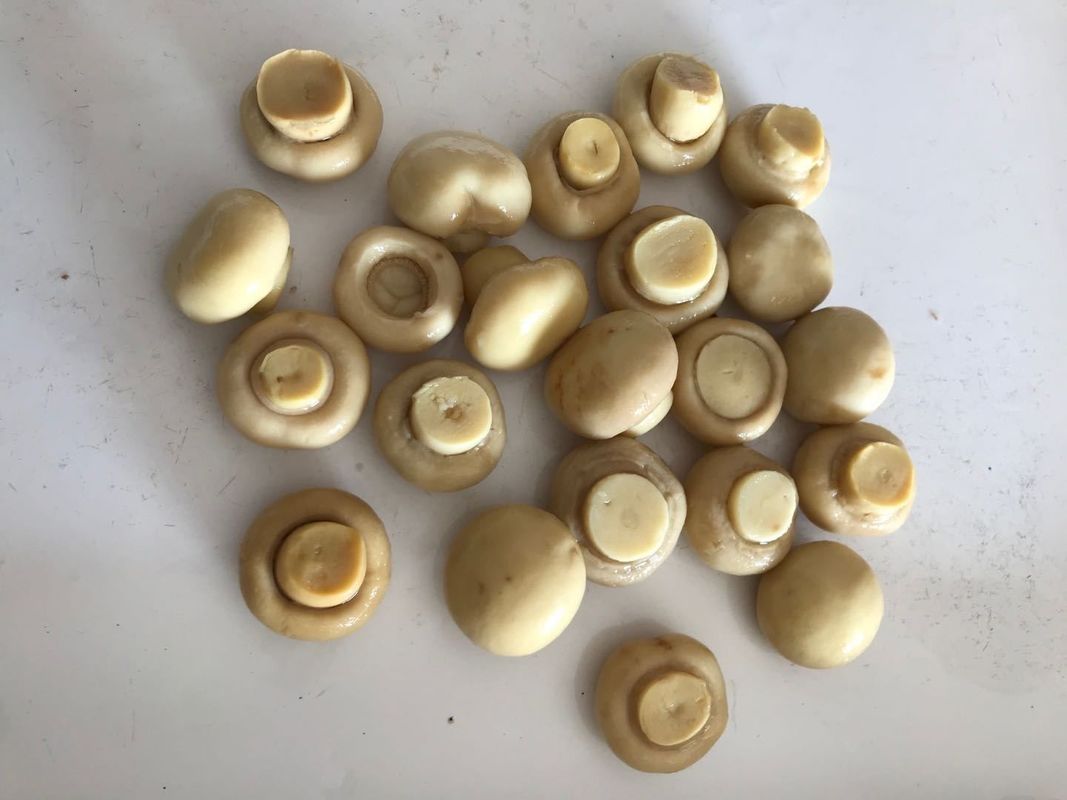 Cogumelo Champignon Estilo Vegetais Enlatados Contendo Sabor Puro Natural Cogumelo Champignon Enlatado para a Indústria Alimentícia