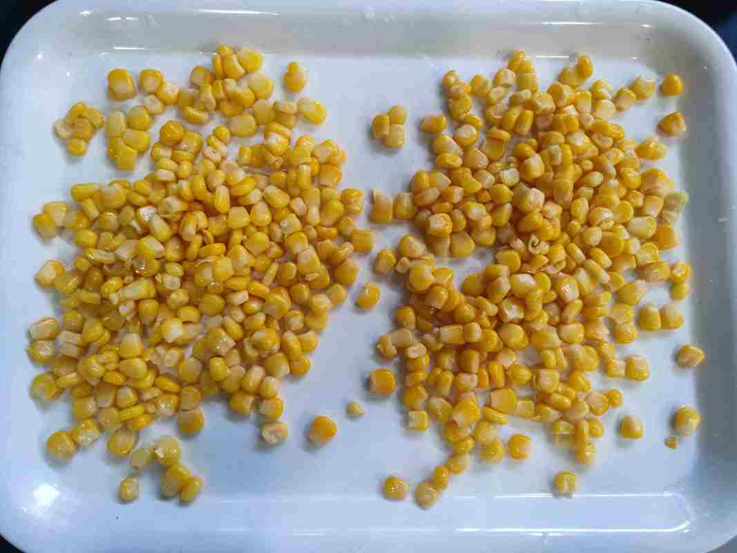 Milho fresco em lata Milho doce para frutas e cogumelos