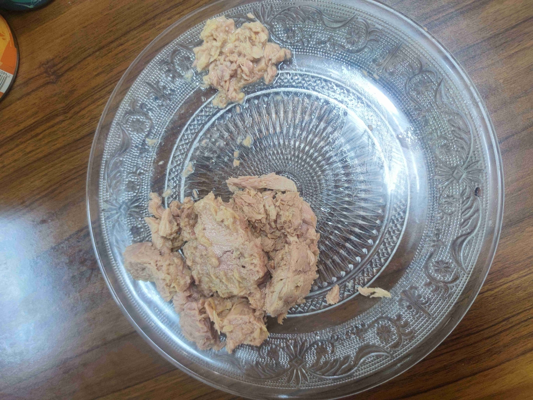 Pedaços de Atum em Água Embalados em Óleo Uma Adição Deliciosa e Nutritiva à Sua Cozinha
