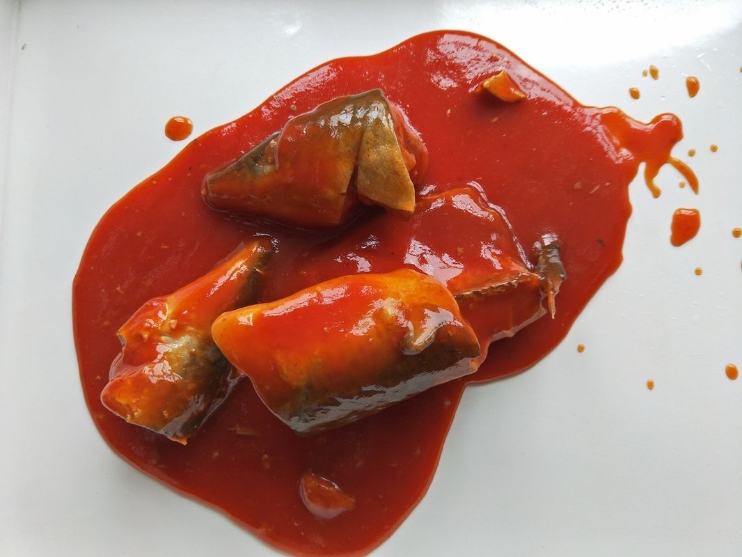 Venda por atacado sardinhas enlatadas no molho de tomate (quente) 50 X 155g/24 X 425g