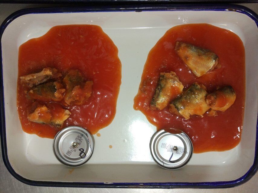 50 que X 155g enlatou sardinhas pescam no molho de tomate com malagueta picante