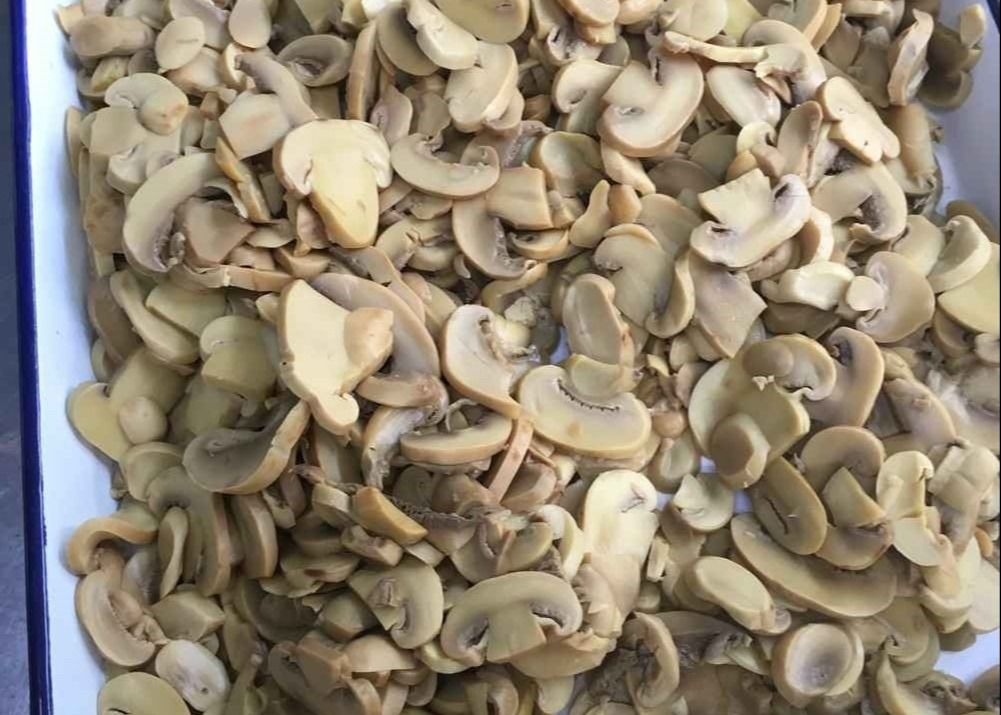 Contém Cogumelos Champignon em Conserva Tampa Abre Fácil Ideal para Cozinhas Comerciais e Instalações de Processamento de Alimentos