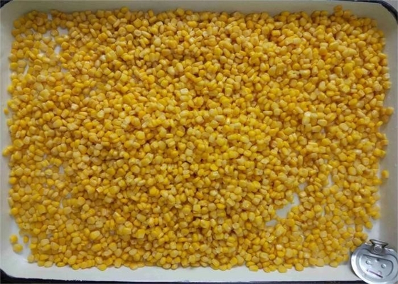 A certificação 75g 184g 425g 2840g de HACCP enlatou o milho doce