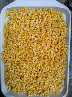 90g 184g 340g 425g Milho doce enlatado Tamanhos de embalagem convenientes Perfeito para serviços de alimentação e distribuição no varejo