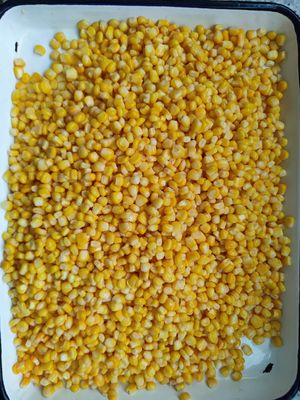 Milho doce enlatado amarelo claro, ideal para armazenamento a granel e fácil manuseio na indústria alimentícia
