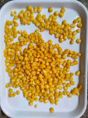 Adicione sabor e nutrição com milho doce enlatado em embalagens de lata Metel