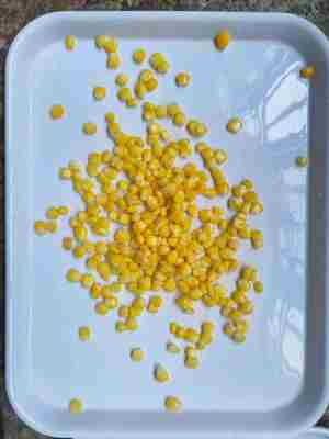 Sirope 7.5 a 9.0 Milho amarelo enlatado em vários tamanhos 90g 184g 340g e 425g Ideal para aplicações na indústria alimentar