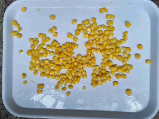 Milho Amarelo Enlatado para o Crescimento do Seu Negócio